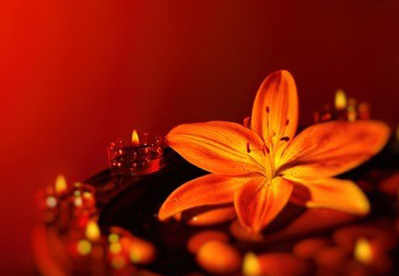 年轻人对广州上门推拿保健情有独钟的原因